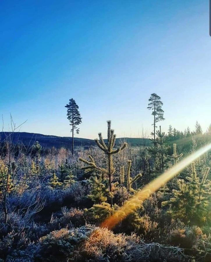 Mysig Timmerstuga Med Braskamin Naera Hovfjaellet Torsby Exterior foto